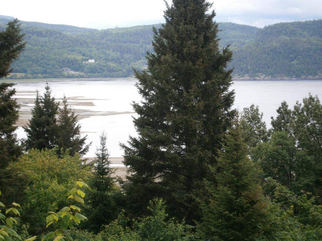 Panoramique Du Fjord Apartment L'Anse-Saint-Jean Exterior photo